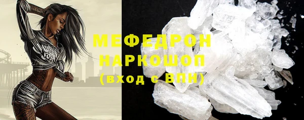 индика Беломорск