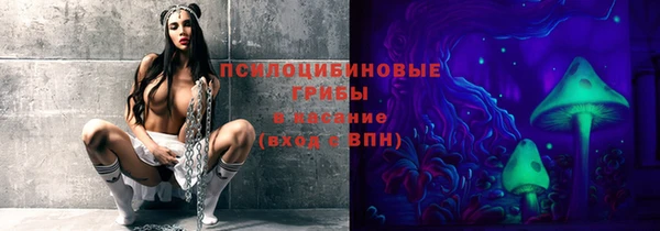 индика Беломорск