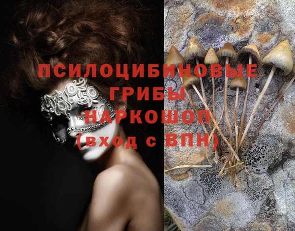 индика Беломорск