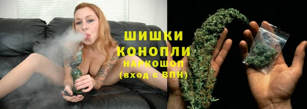 индика Беломорск