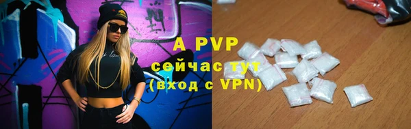 индика Беломорск