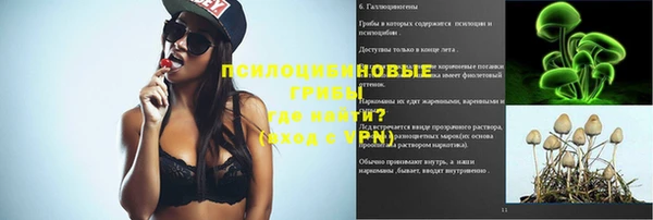 индика Беломорск