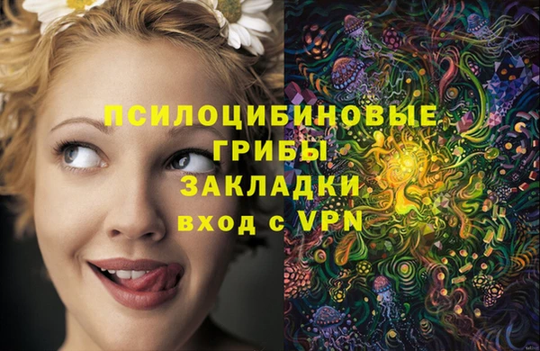 дживик Белоозёрский