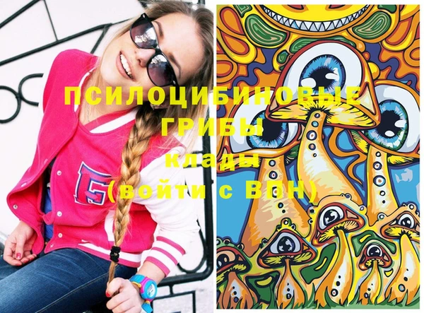 дживик Белоозёрский