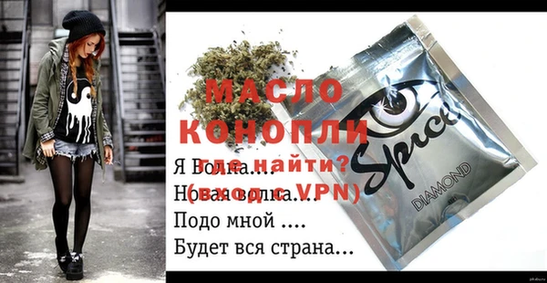 индика Беломорск