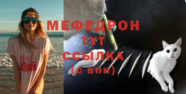 индика Беломорск