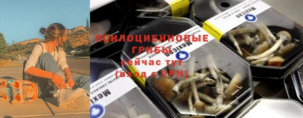 индика Беломорск