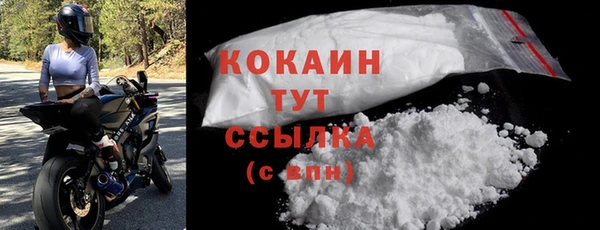 индика Беломорск