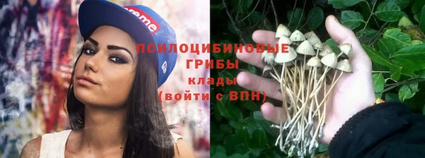 меф Белокуриха